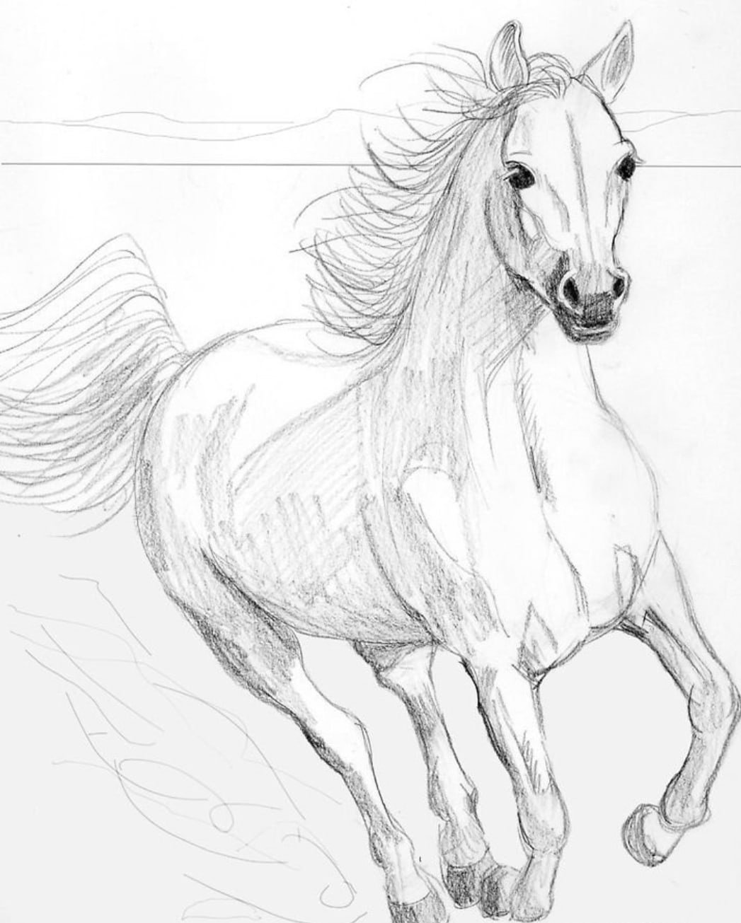 Лошадь карандашом