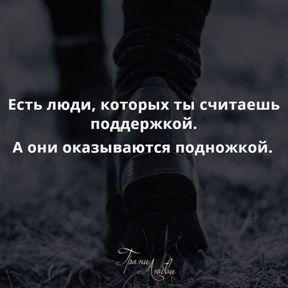 Нужные цитаты