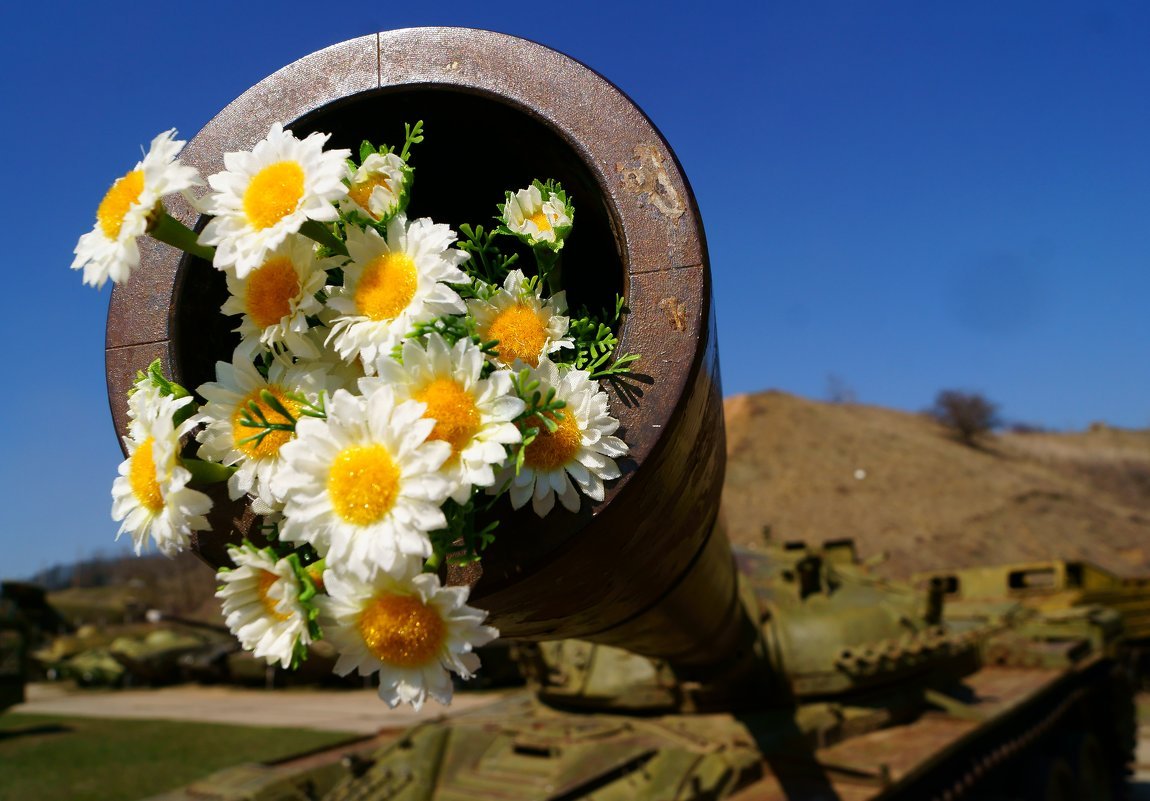 Война и мирное небо