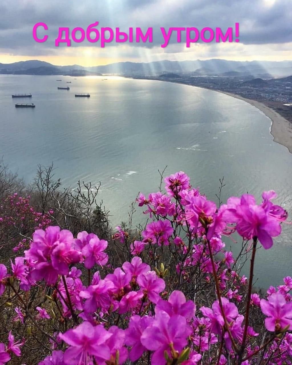 С добрым утром море цветов