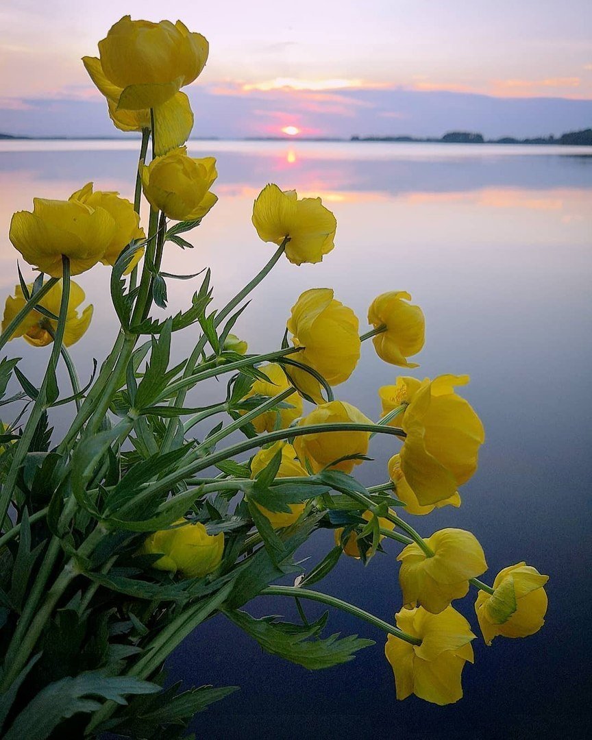 Добрый вечер природа Весна