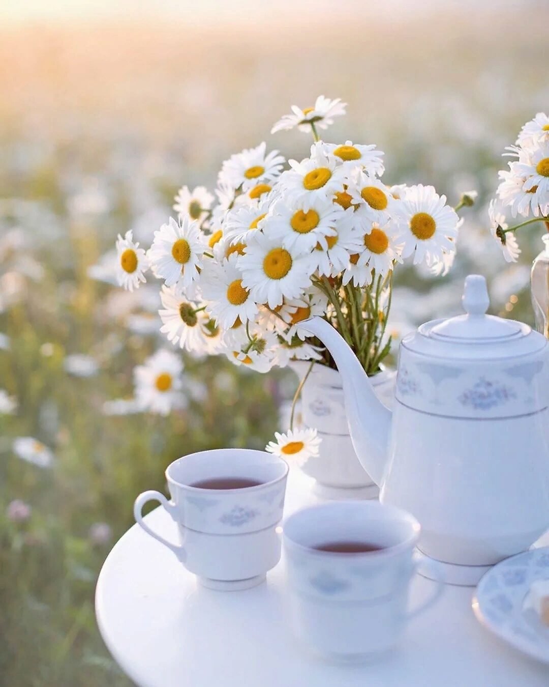 Доброе июньское утро