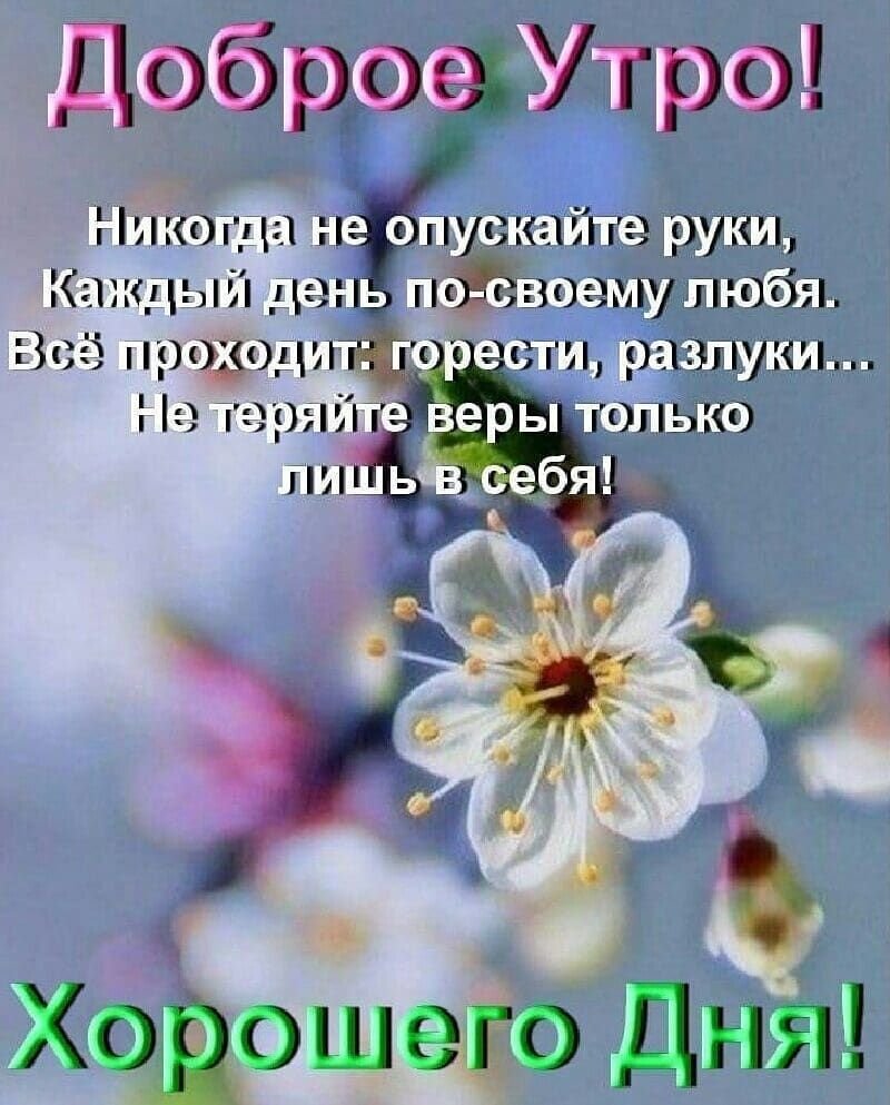 Доброе утро мирного неба