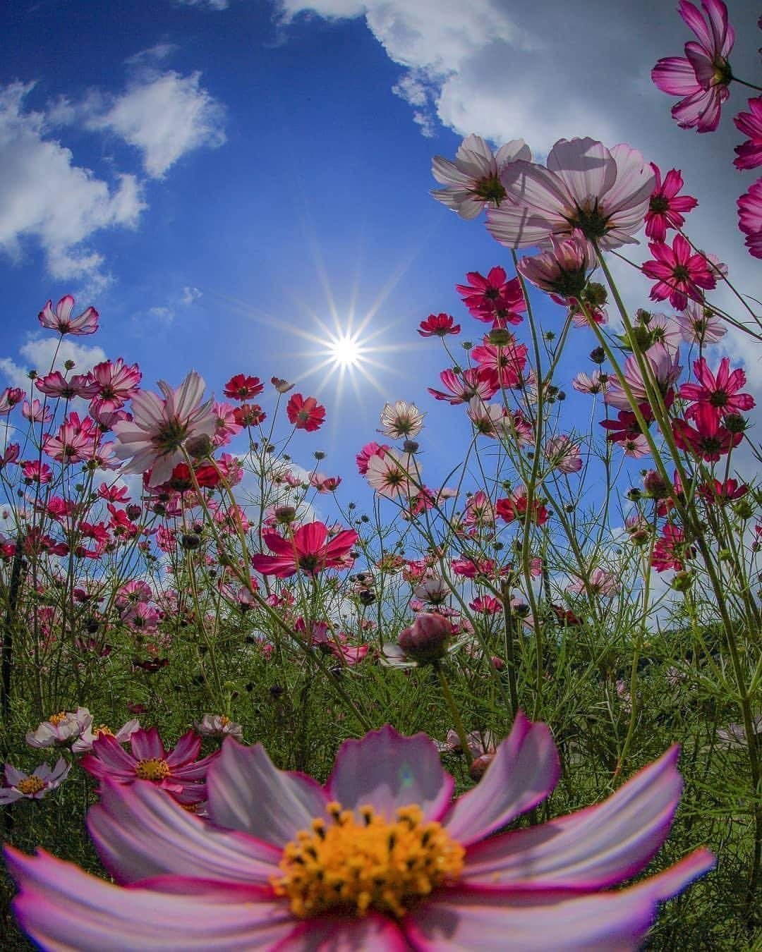 Прекрасного июльского дня