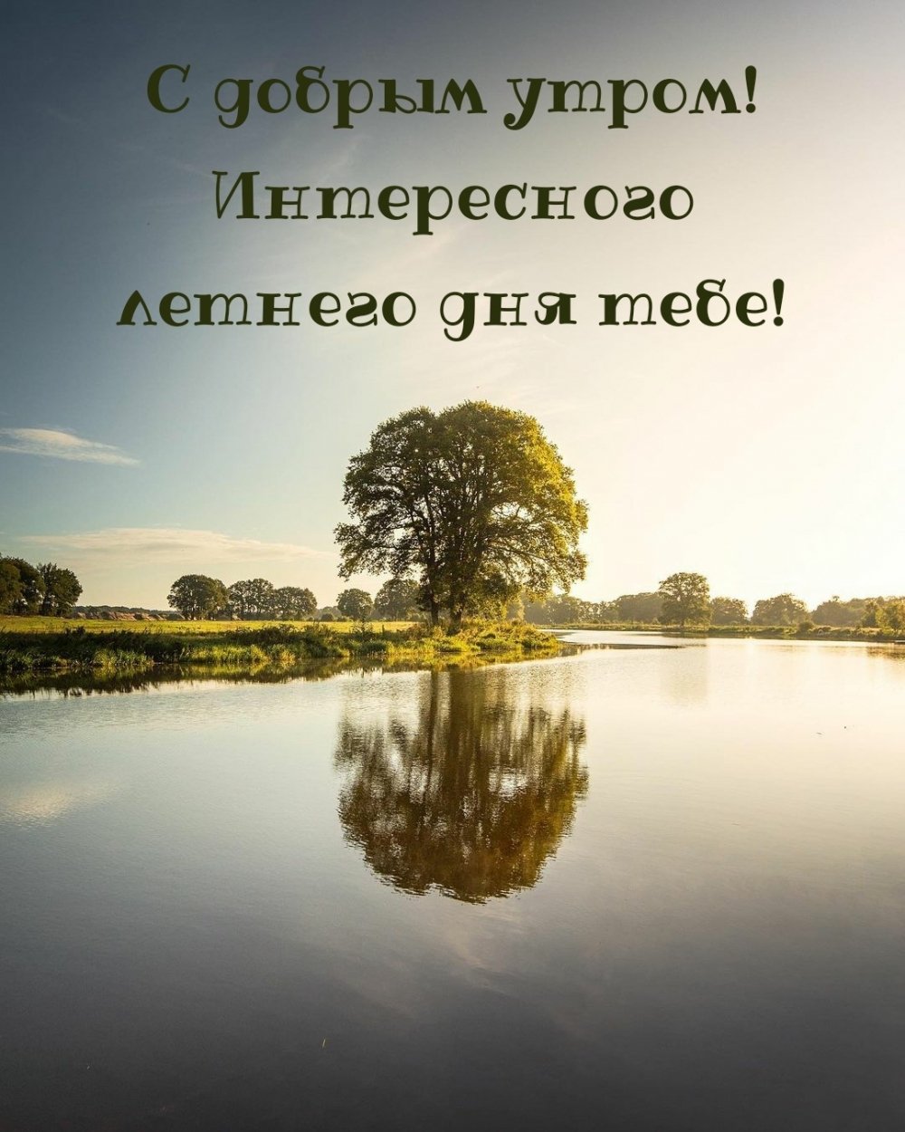Доброе летнее утро картинки с надписями