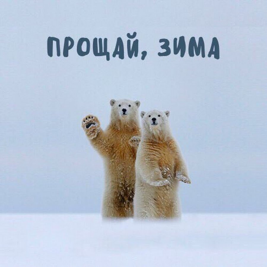 Прощай зима Здравствуй Весна