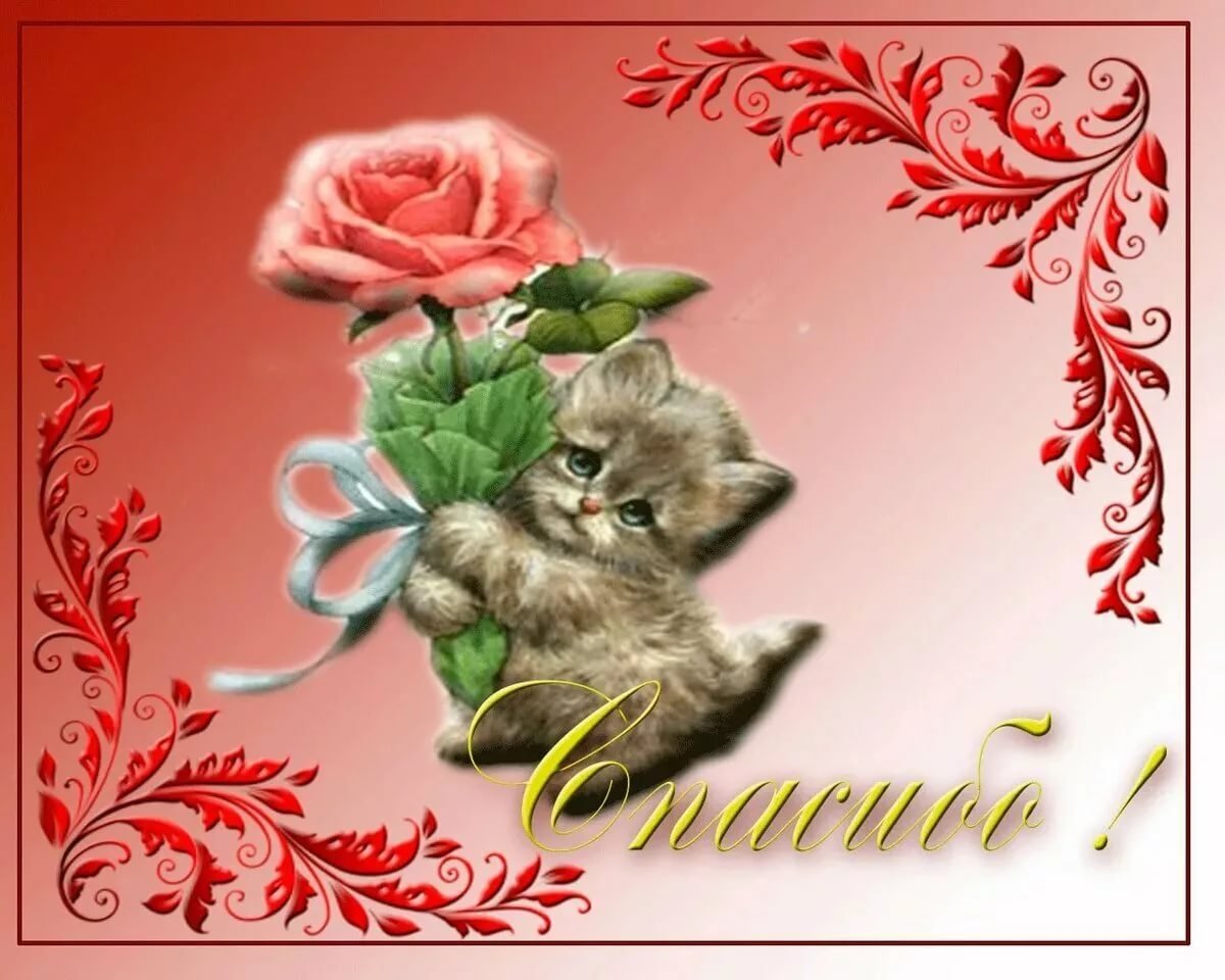 Аткрытка большое спасибо