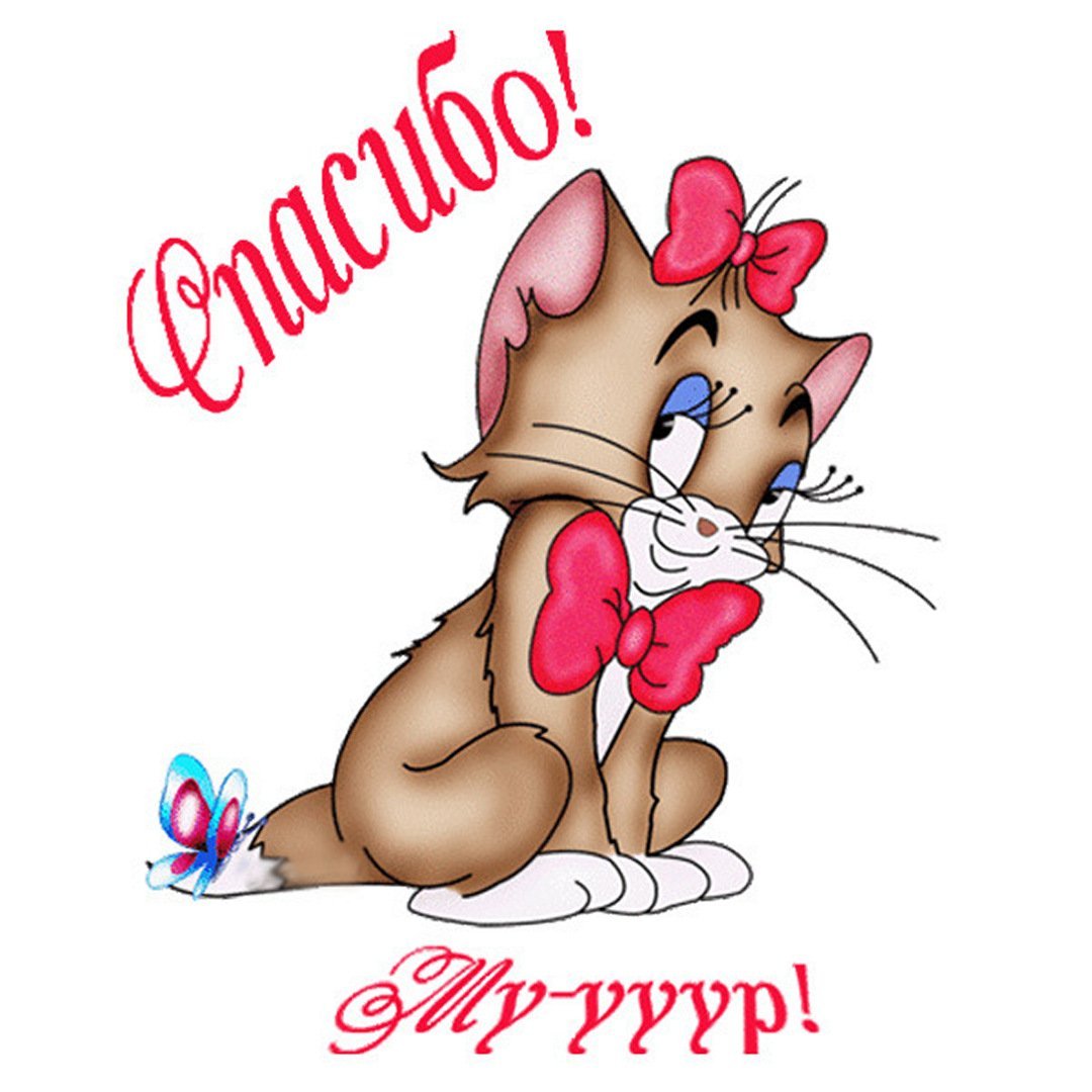 Открытки спасибо большое