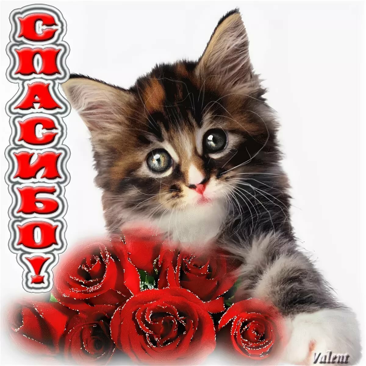 Кот в сапогах Шрек глаза