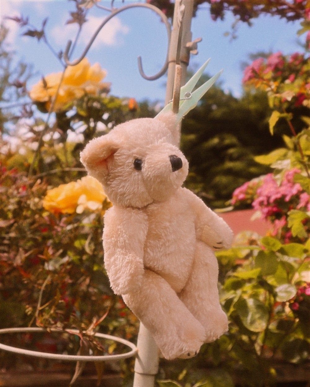 Мишка Эстетика Рилаккума