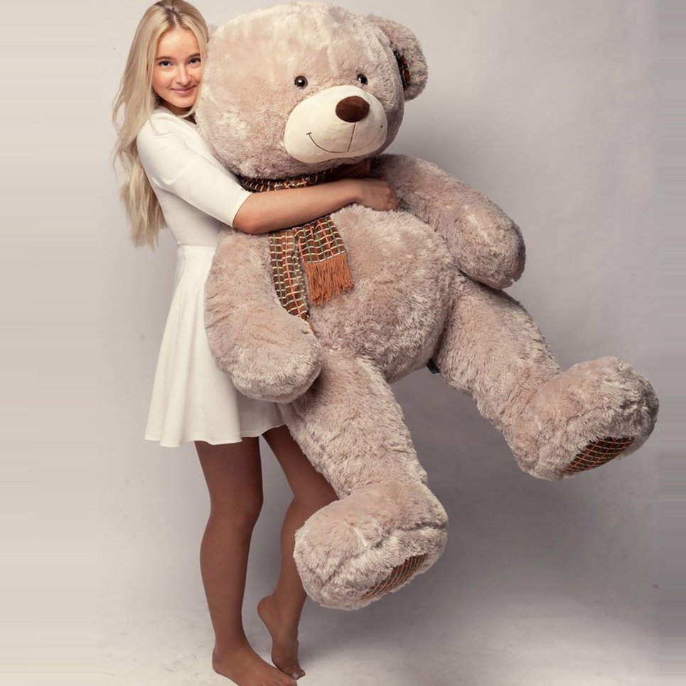 Девушка с мягкой игрушкой