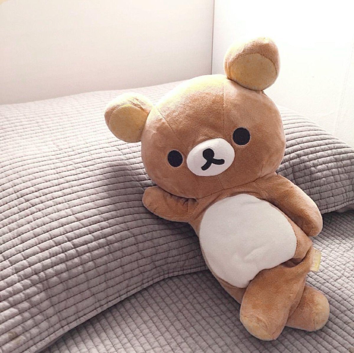 Мишка Эстетика Рилаккума