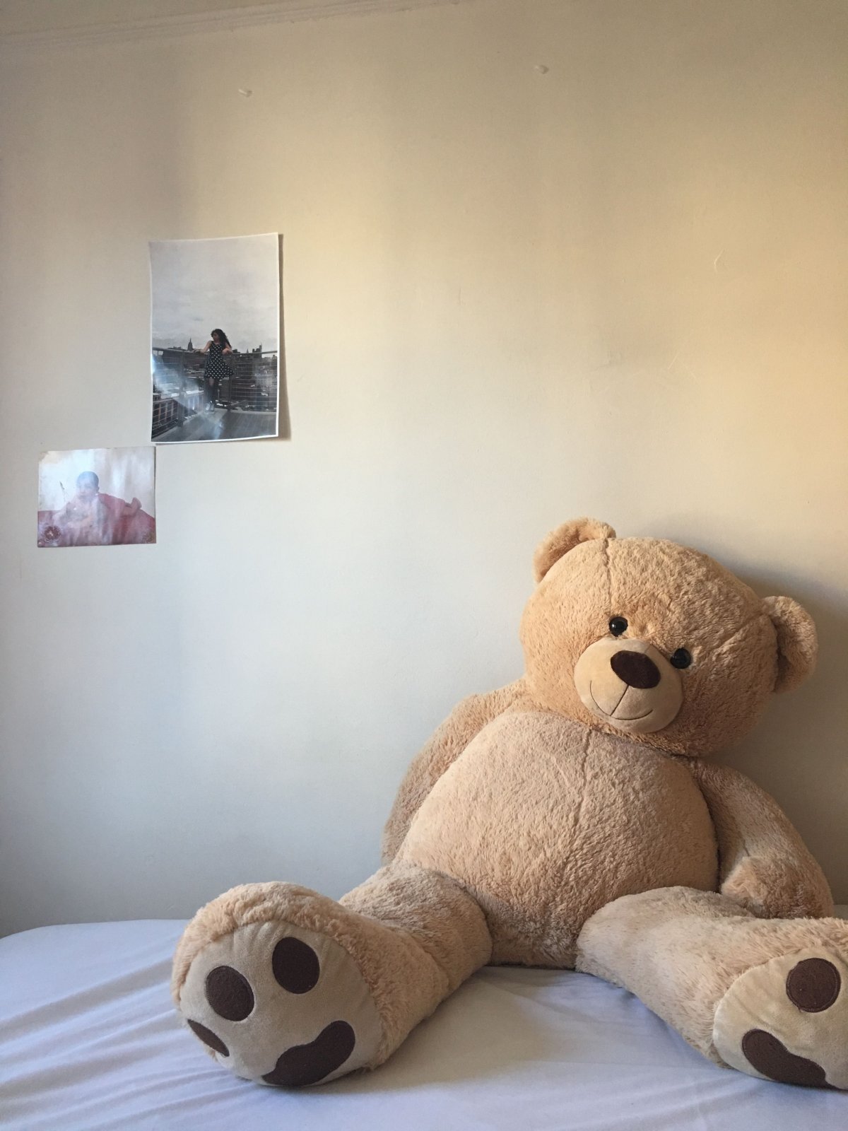 Мягкие игрушки много