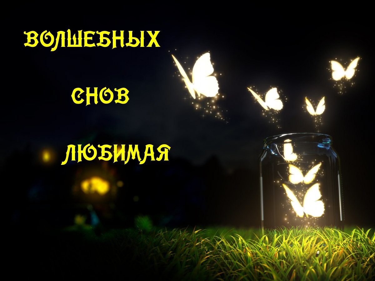 Спокойной ночи друзья