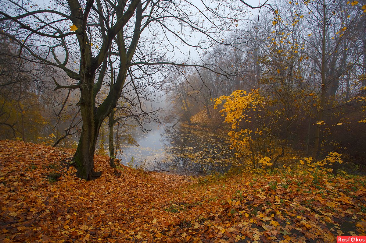 Поздняя осень
