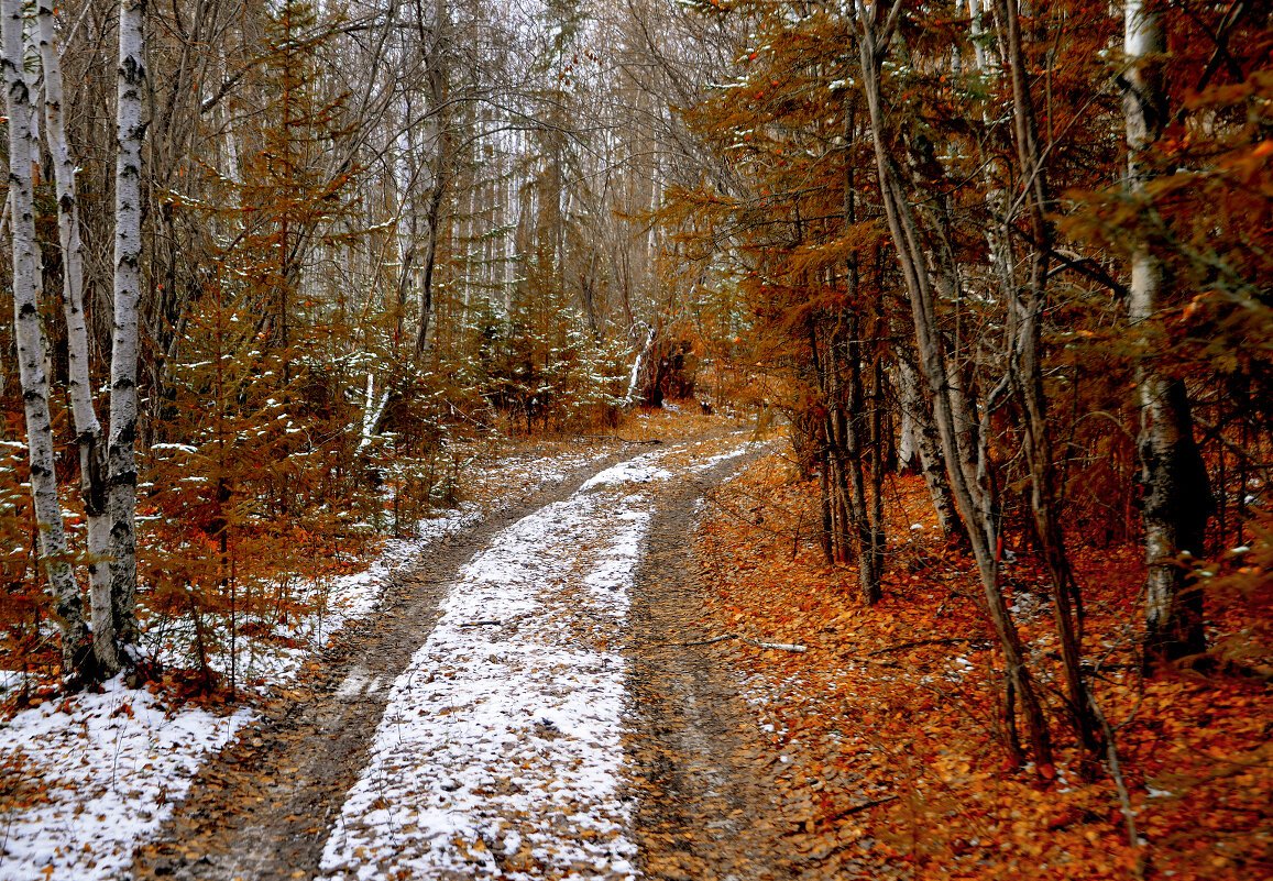 Поздняя осень фото