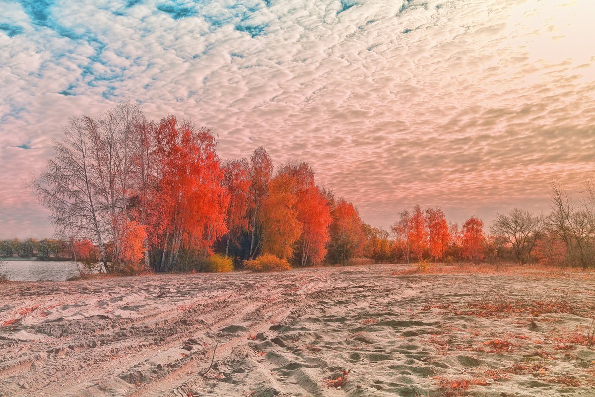 Поздняя осень пейзаж