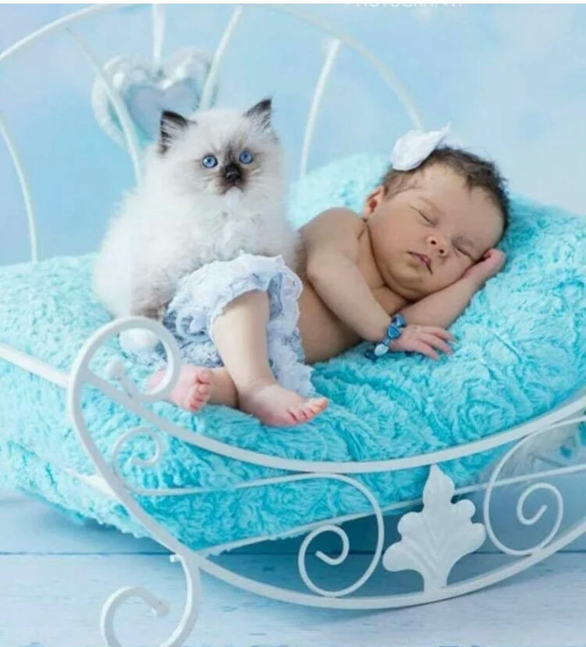 Спокойной ночи