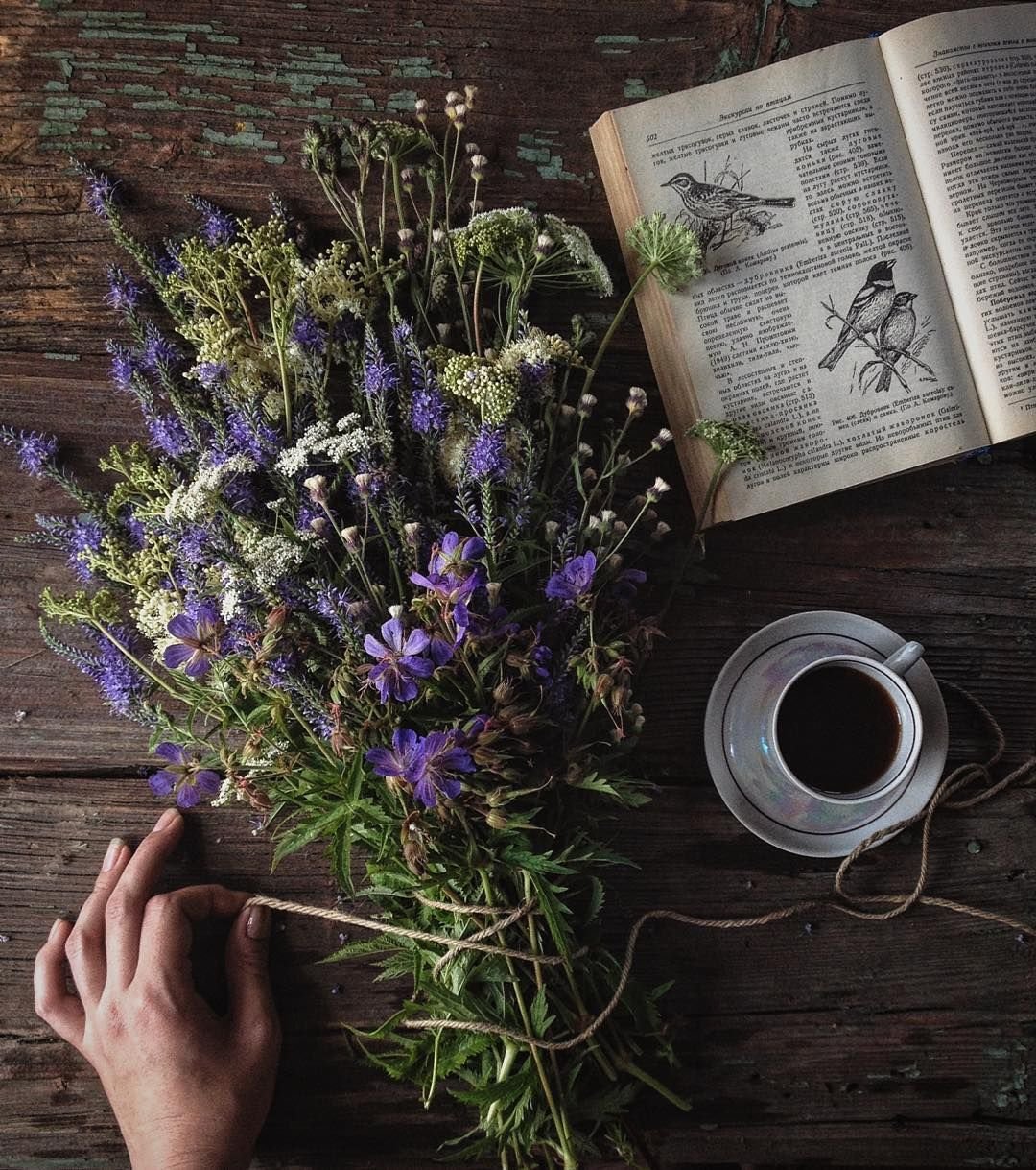 Романтические цветы