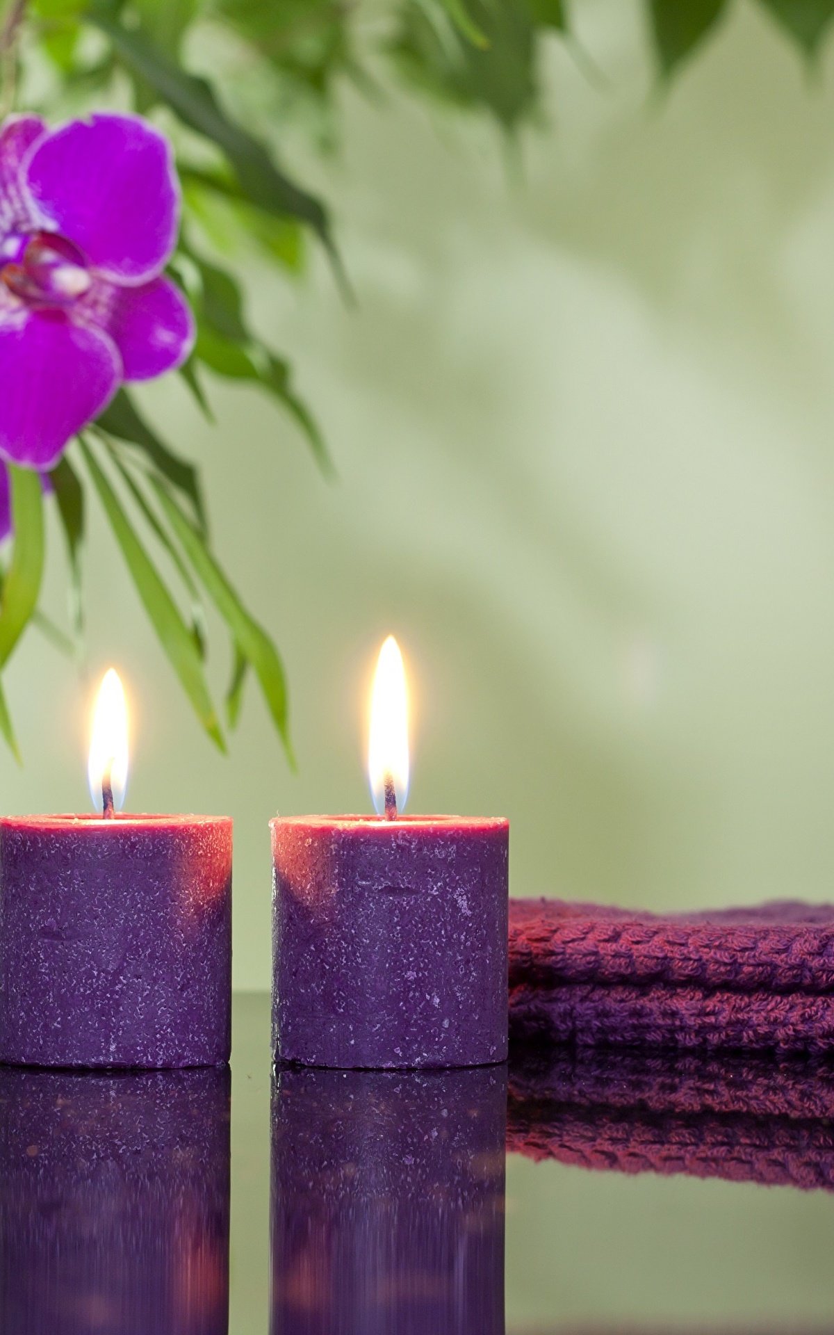 Книга свеча цветы