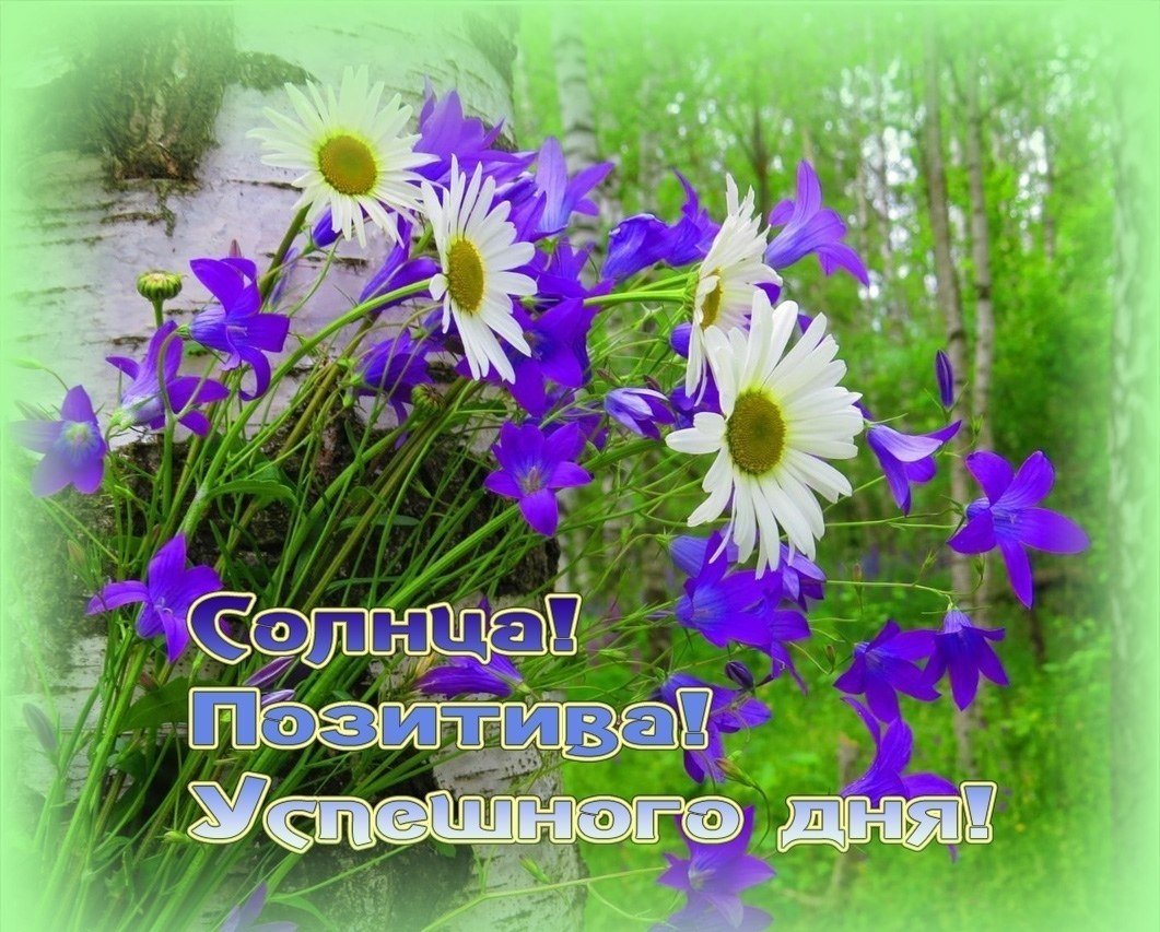 Душевного тепла и солнечного настроения