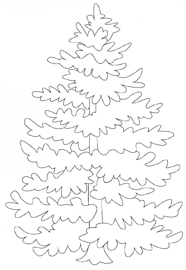 Ель раскраска