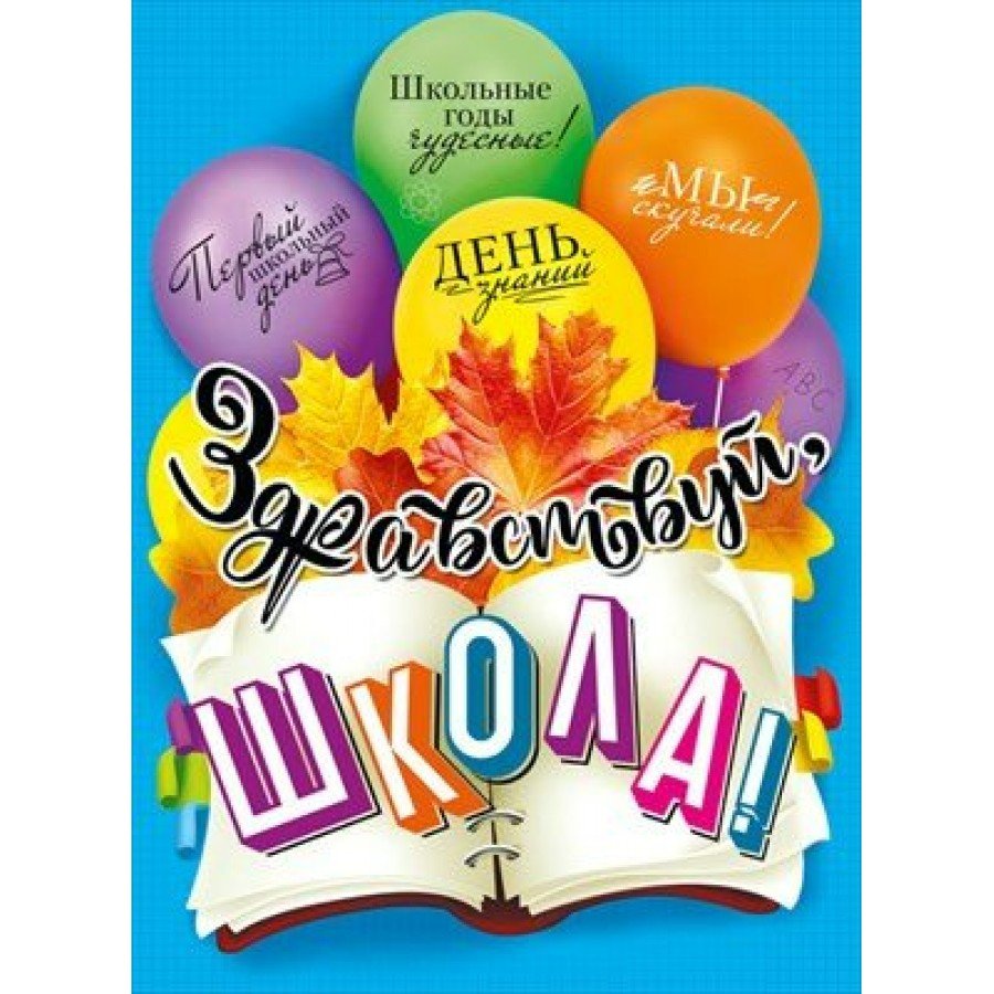 Здравствуй школа