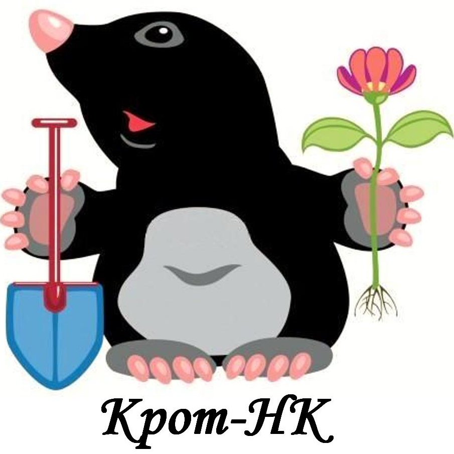 Дюймовочка раскраска