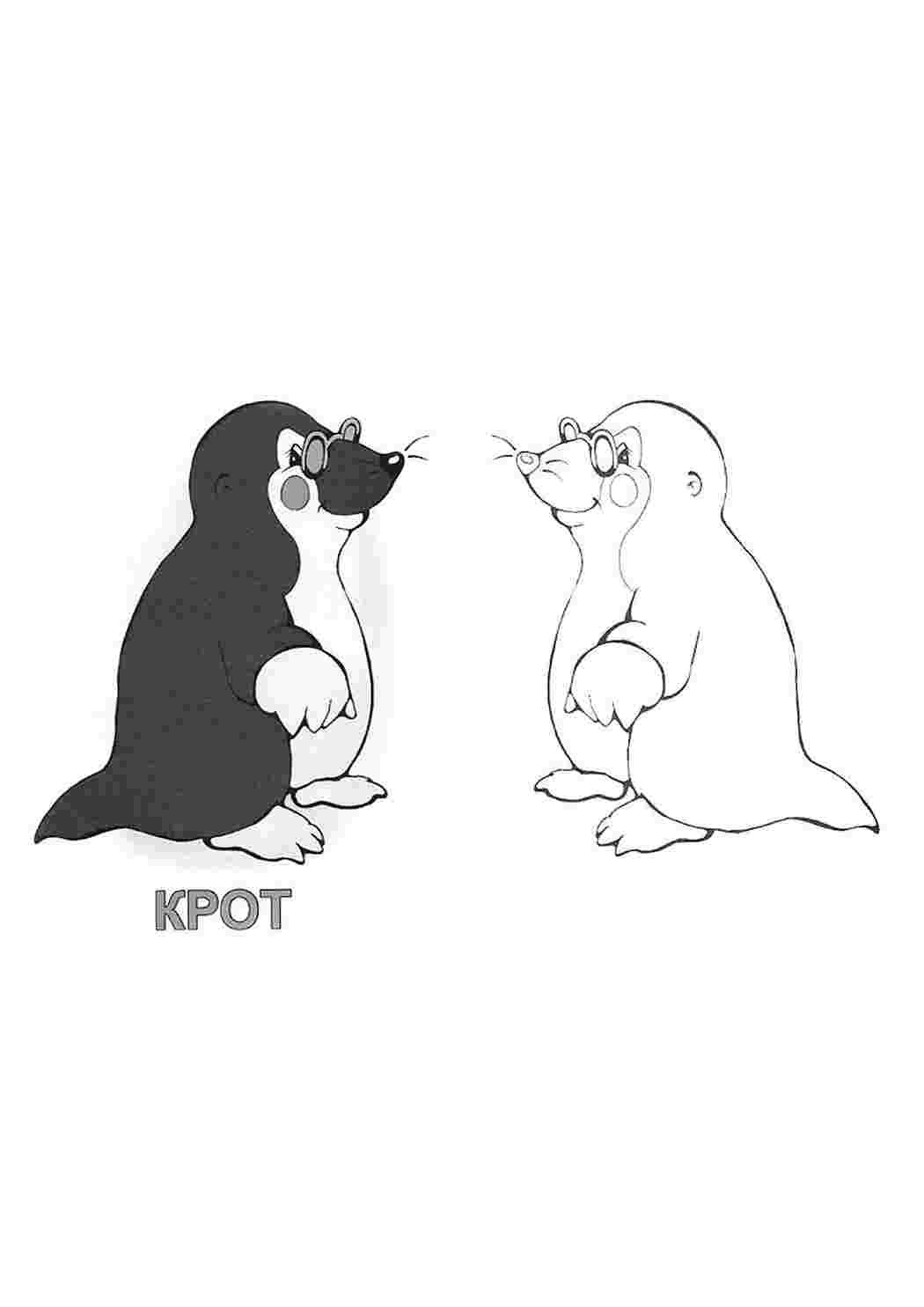 В норе у мыши из сказки