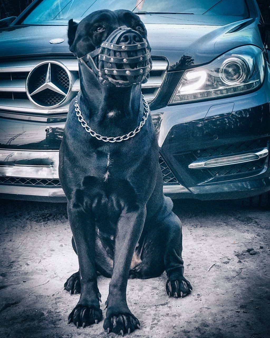 Гелендваген в001ор