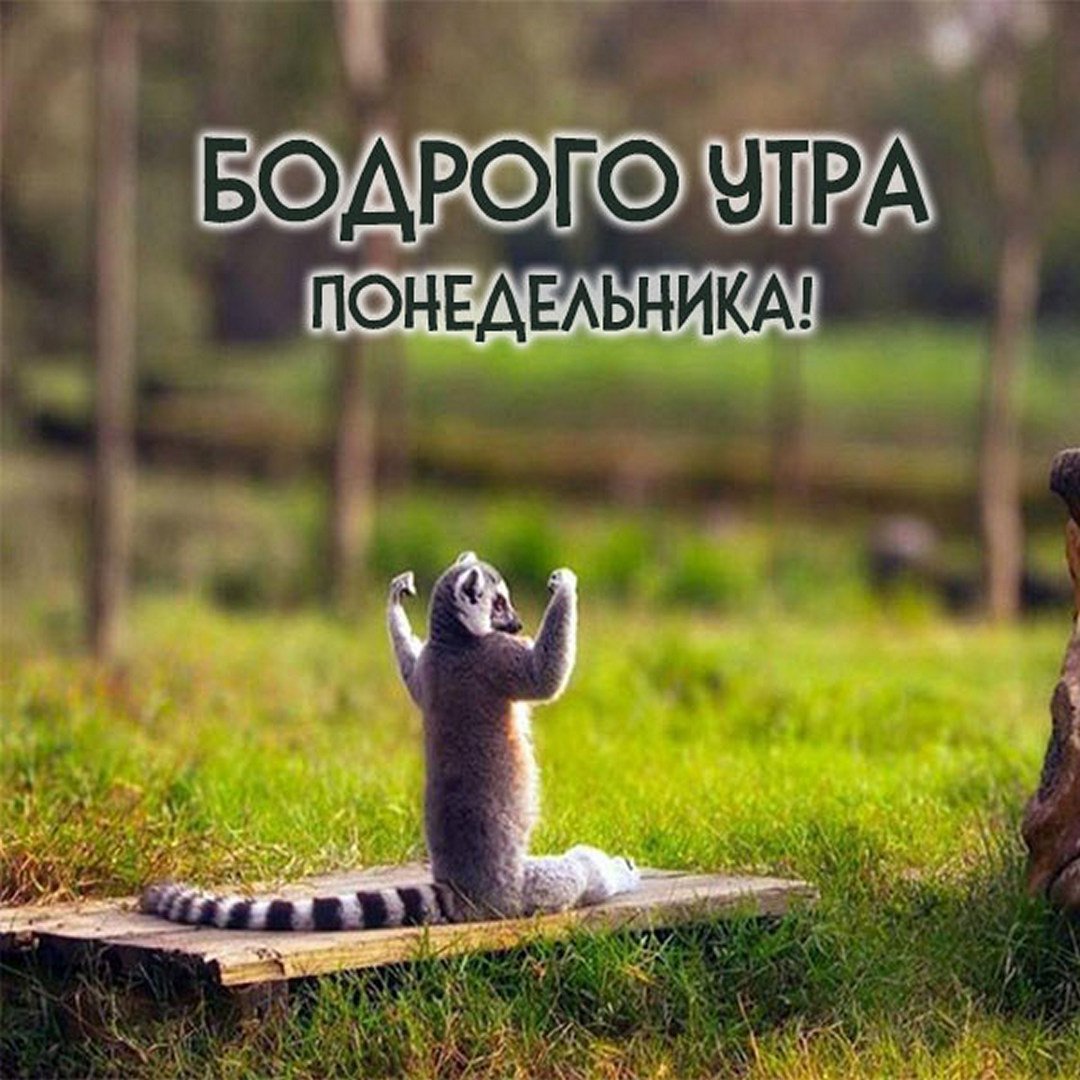 С добрым утром понидельн