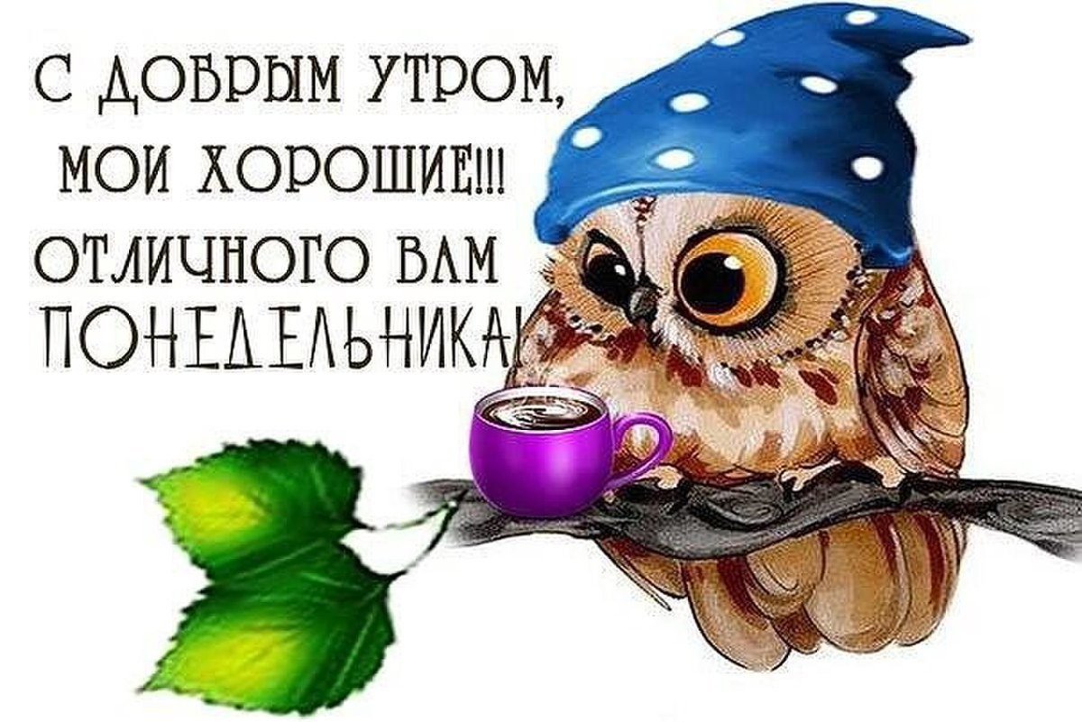 С добрым понедельничным утром