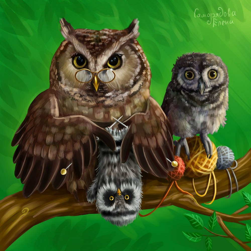 Елена Саморядова Совы
