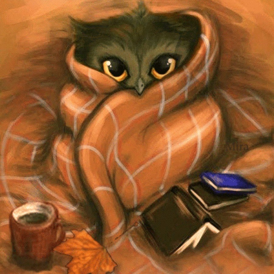 Выздоравливай Совушка