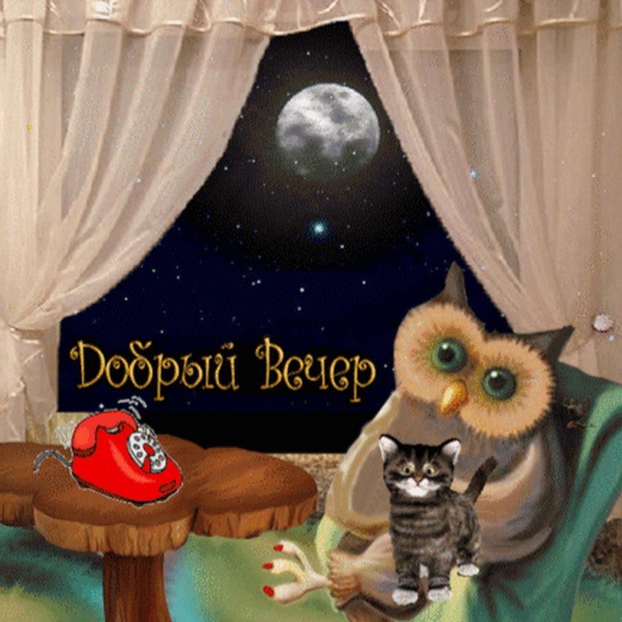 Доброго вечера и спокойной ночи