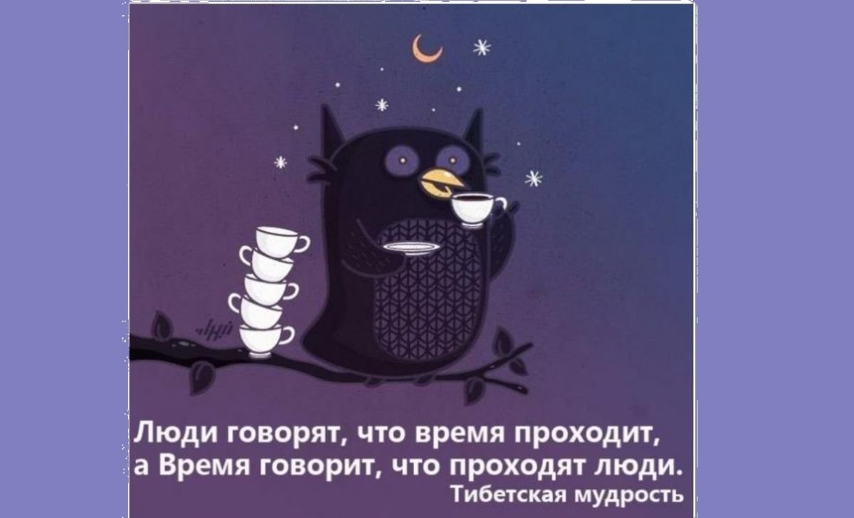 Сова пьет кофе