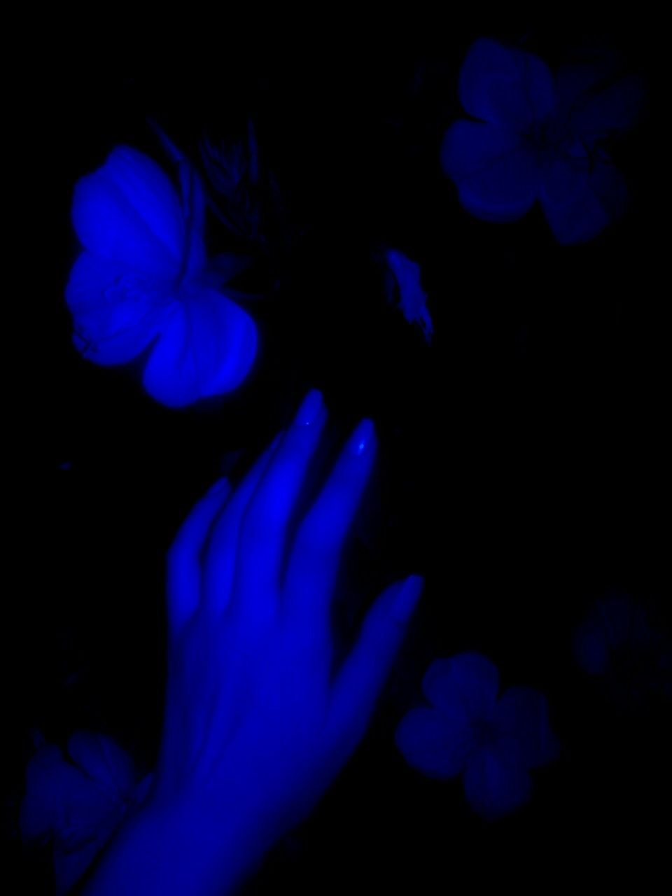 Темно синяя Эстетика