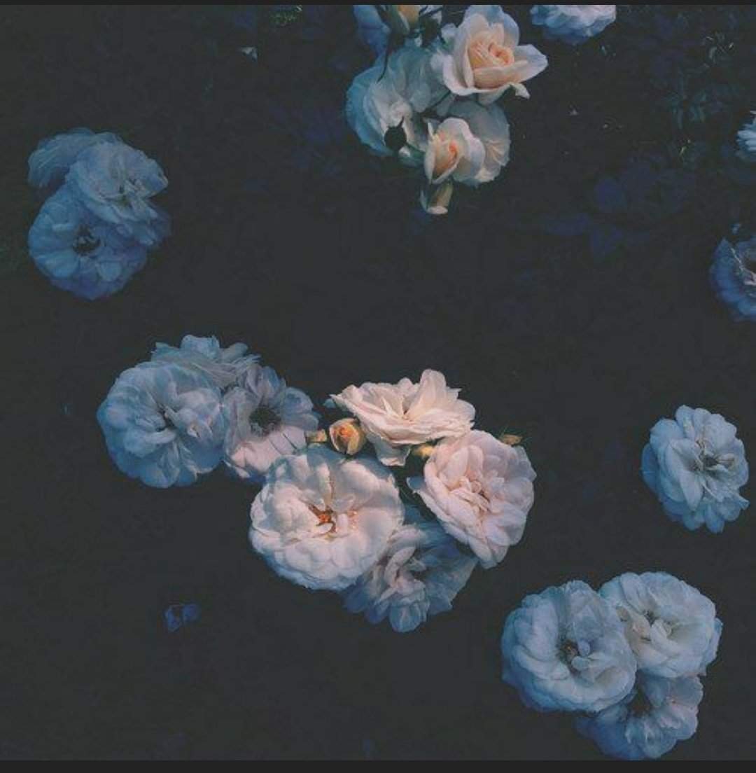 Эстетика бледно голубого