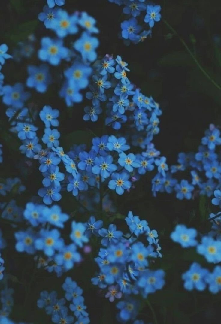 Эстетика синего