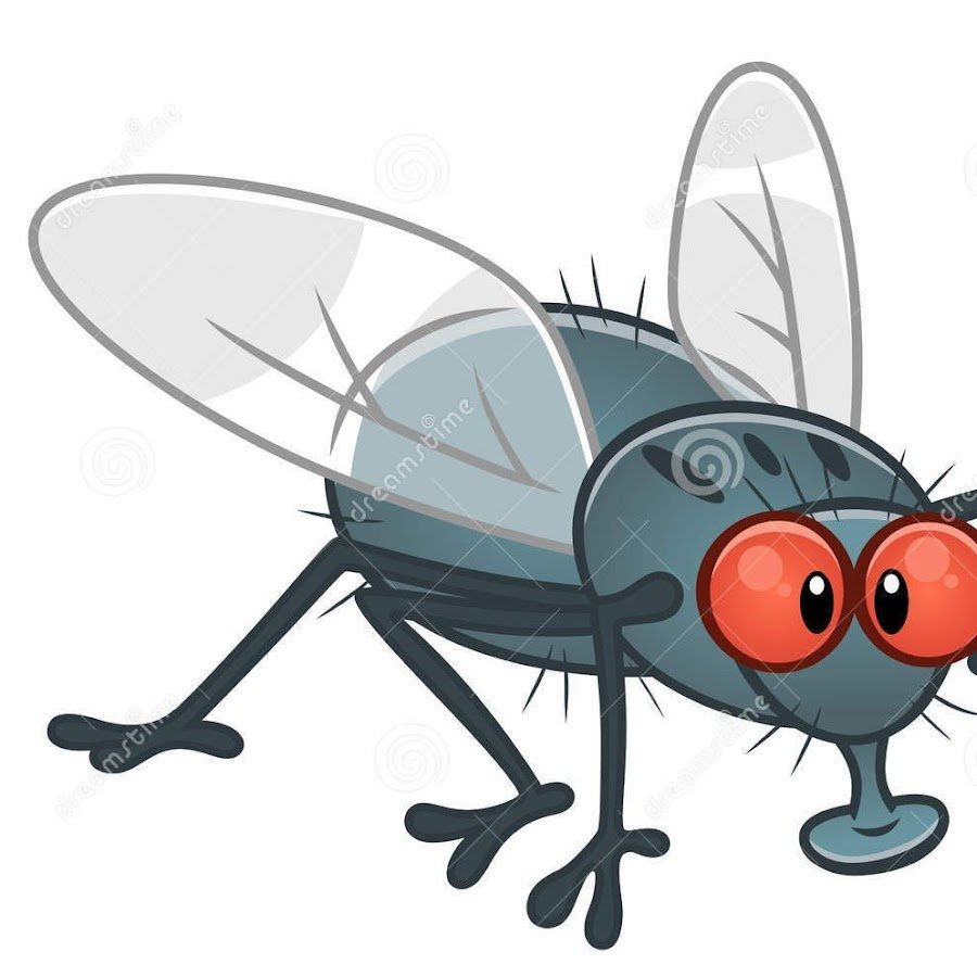Муха мультяшная