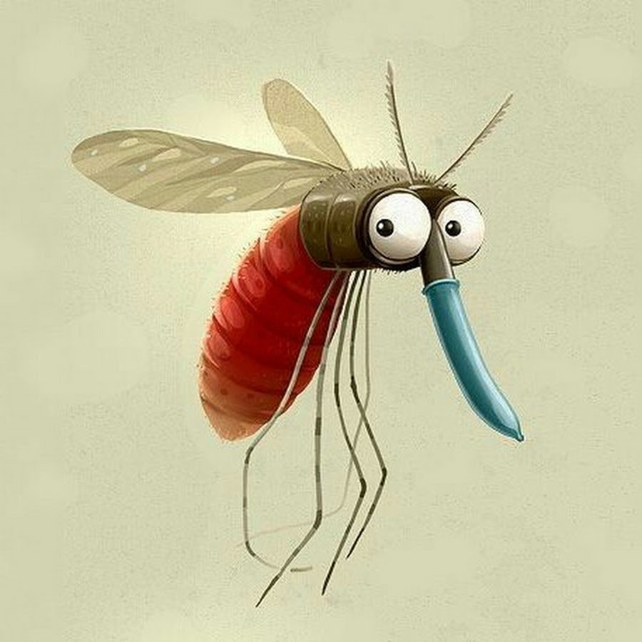 Насекомые карикатура