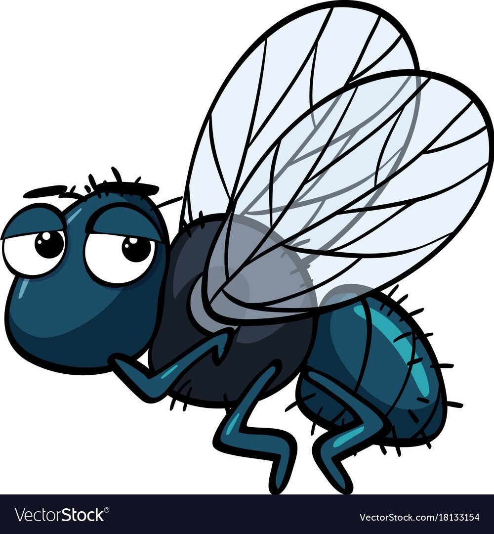 Муха на белом фоне