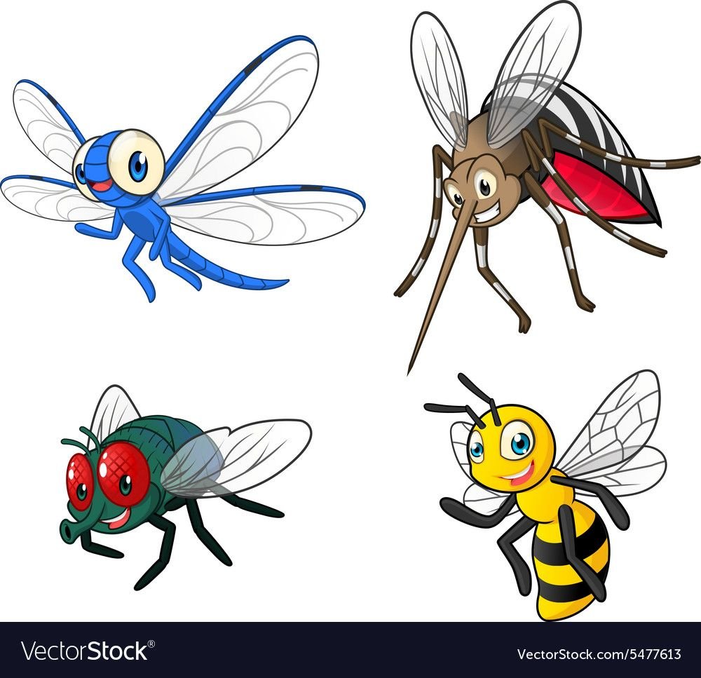 Много мух рисунок