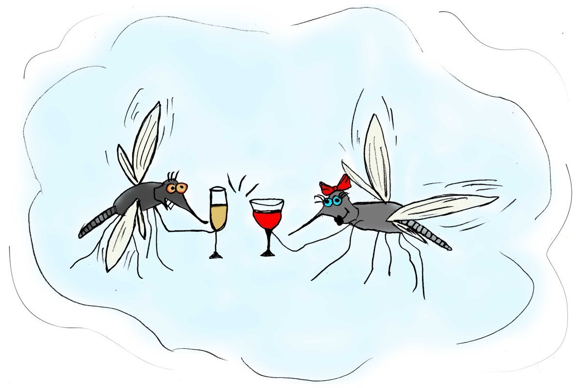 Муха смайлик