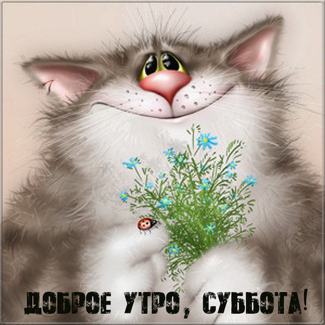 Забавные открытки