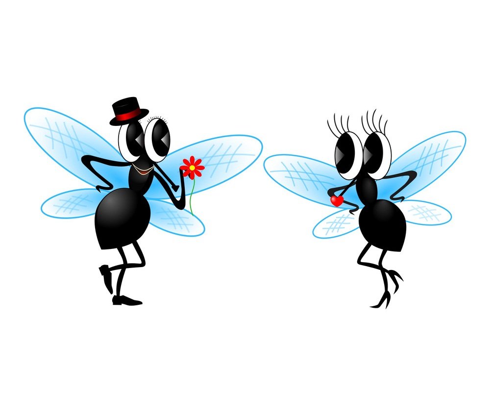 Муха детская картинка