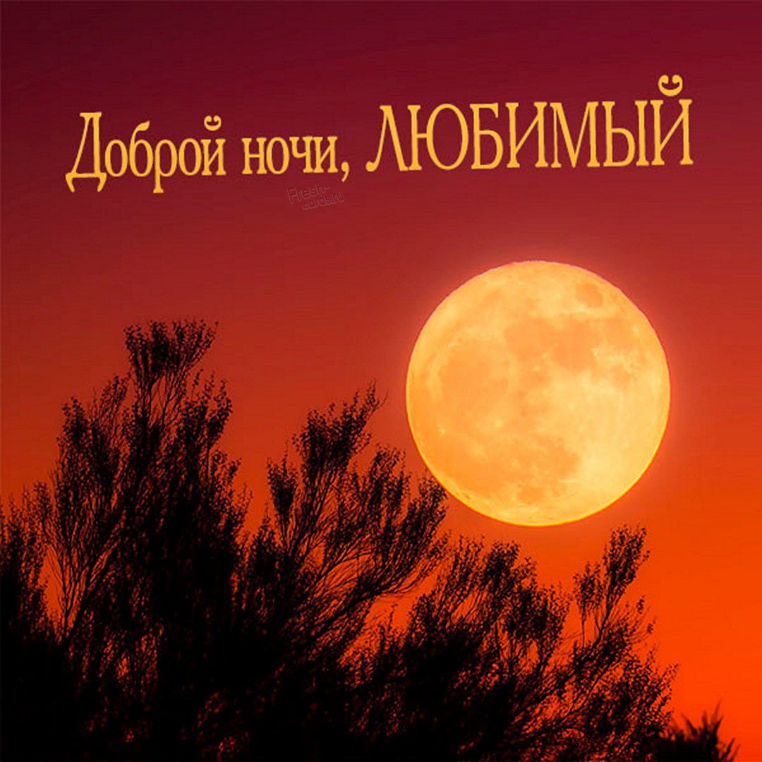 Спокойнойночки мужчине