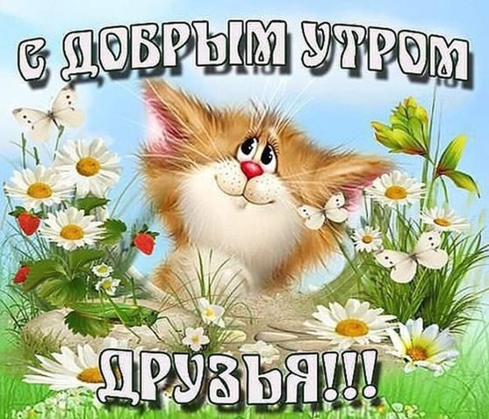 Веселые открытки с добрым утром