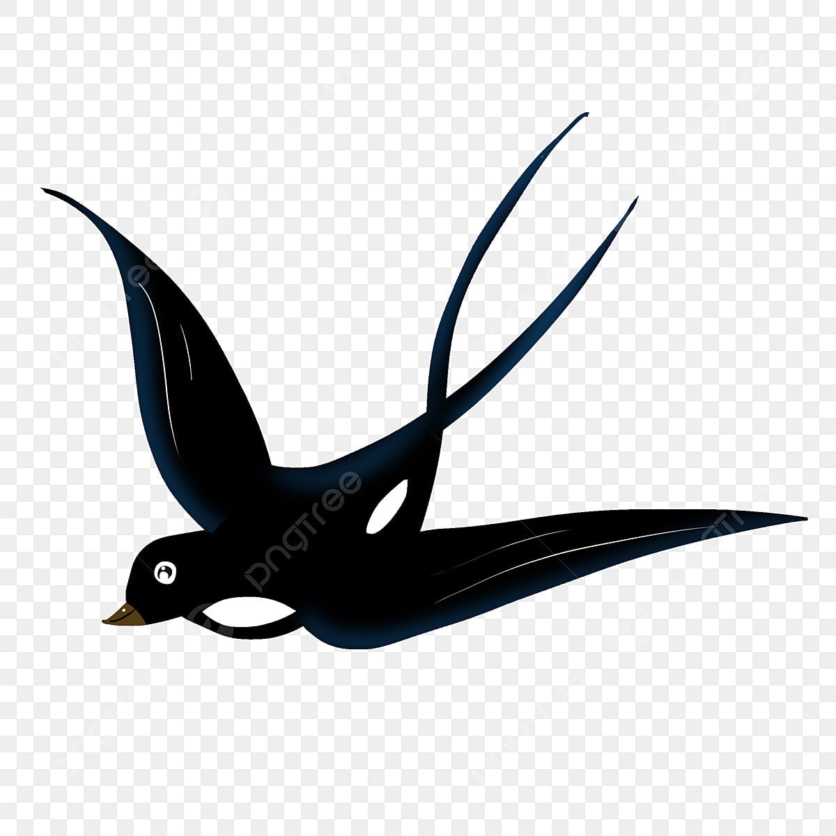 Ласточка птица