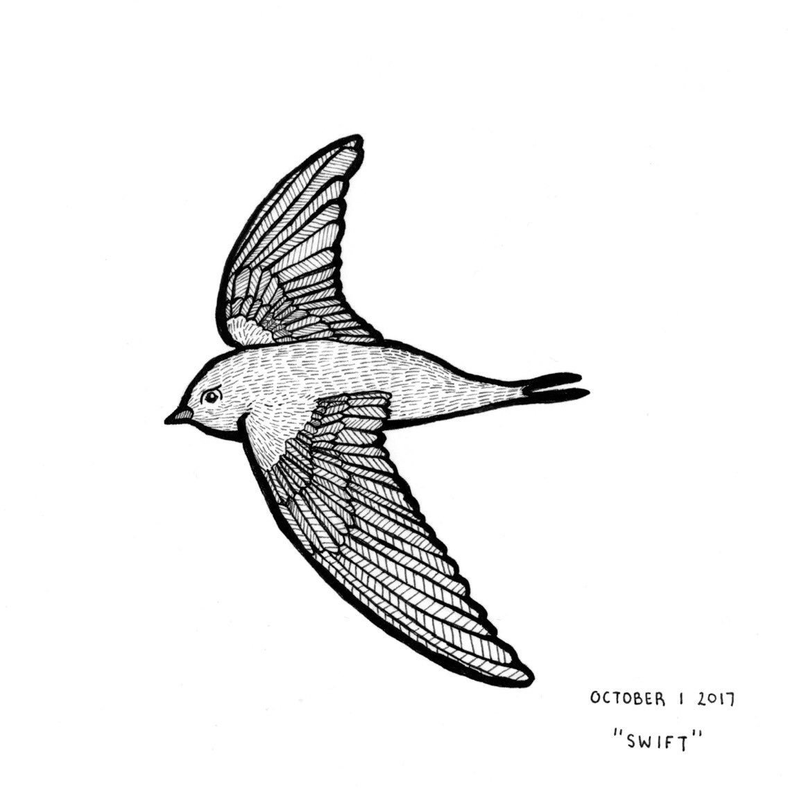 Ласточка на прозрачном фоне